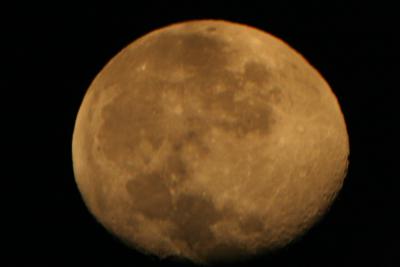 img_7259.jpg
